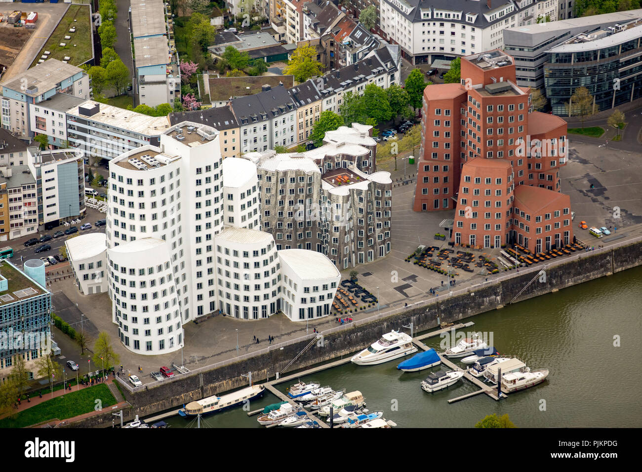 Gehry-bauten im Medienhafen Düsseldorf, moderne Architektur, Düsseldorf, Rheinland, Nordrhein-Westfalen, Deutschland Stockfoto