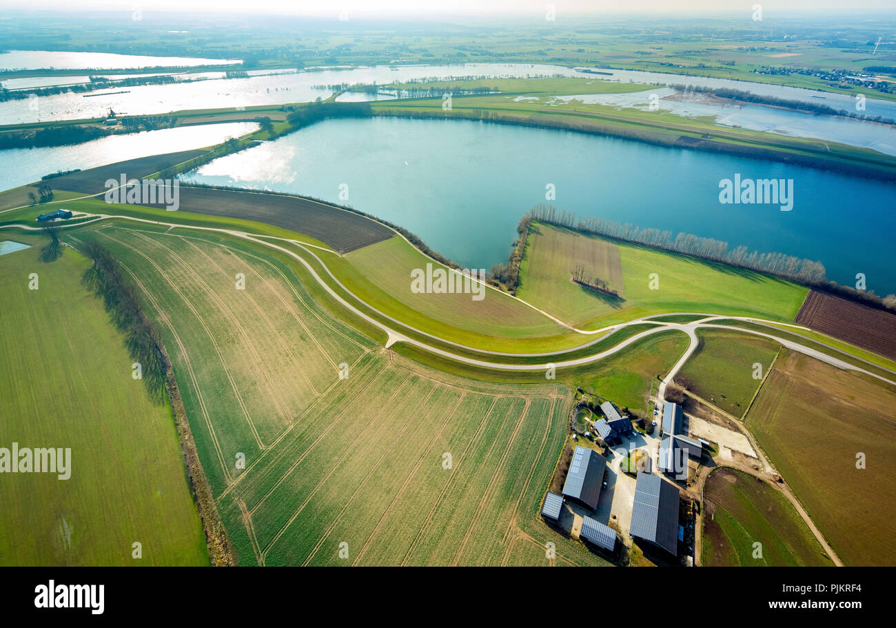 Rheindamm, Grindsee, Rosenhofsee, Rhein Aue bei Überschwemmungen, Hochwasser am Rhein, Rees, Niederrhein, Nordrhein-Westfalen, Deutschland Stockfoto