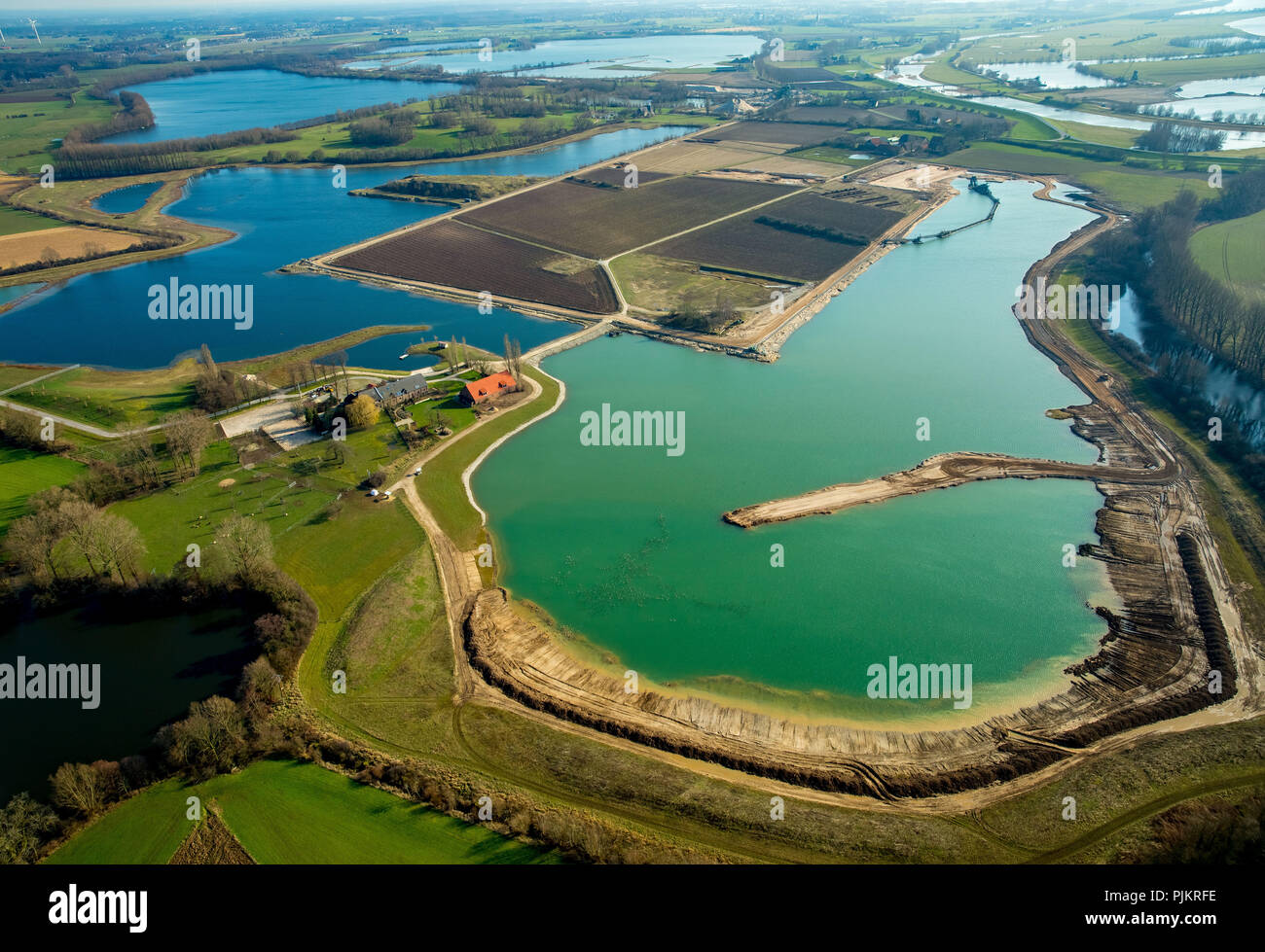 Wilde Gänse im Naturschutzgebiet im Haus Aspel, Aspeler Meer, Baggerseen mit türkisfarbenem Wasser, Rees, Niederrhein, Nordrhein-Westfalen, Deutschland Stockfoto