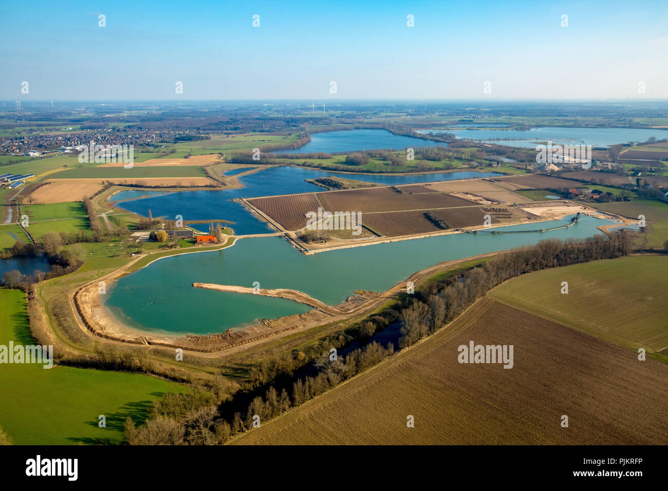 Wilde Gänse im Naturschutzgebiet im Haus Aspel, Aspeler Meer, Baggerseen mit türkisfarbenem Wasser, Rees, Niederrhein, Nordrhein-Westfalen, Deutschland Stockfoto