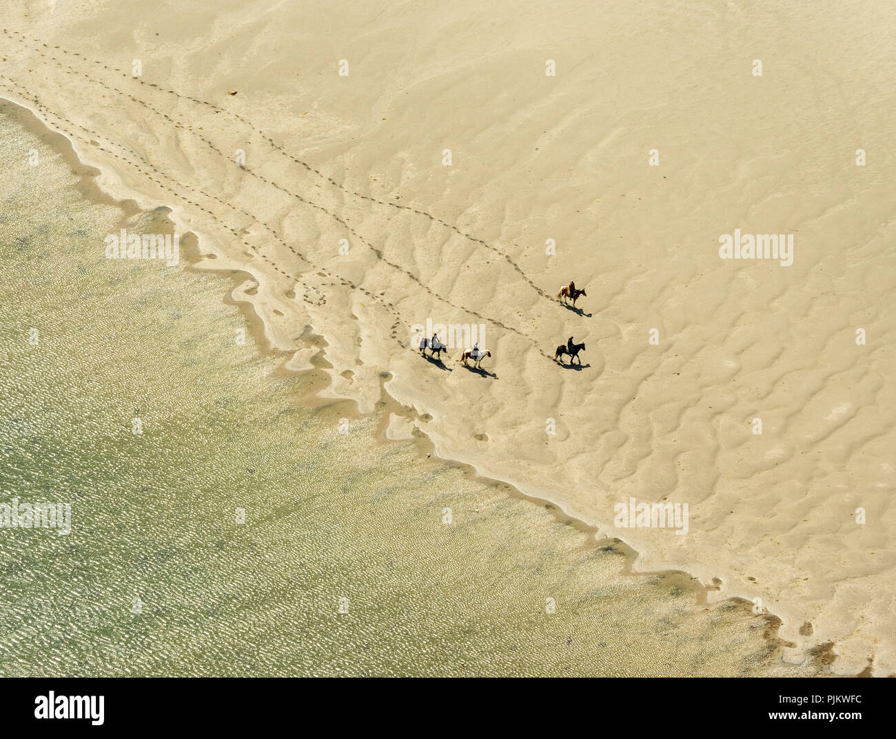 Rusheen Bay Galway mit Reiten am Strand, Atlantic Beach, Sandy Beach, Galway, Barna, County Clare, Galway, Irland, Europa Stockfoto