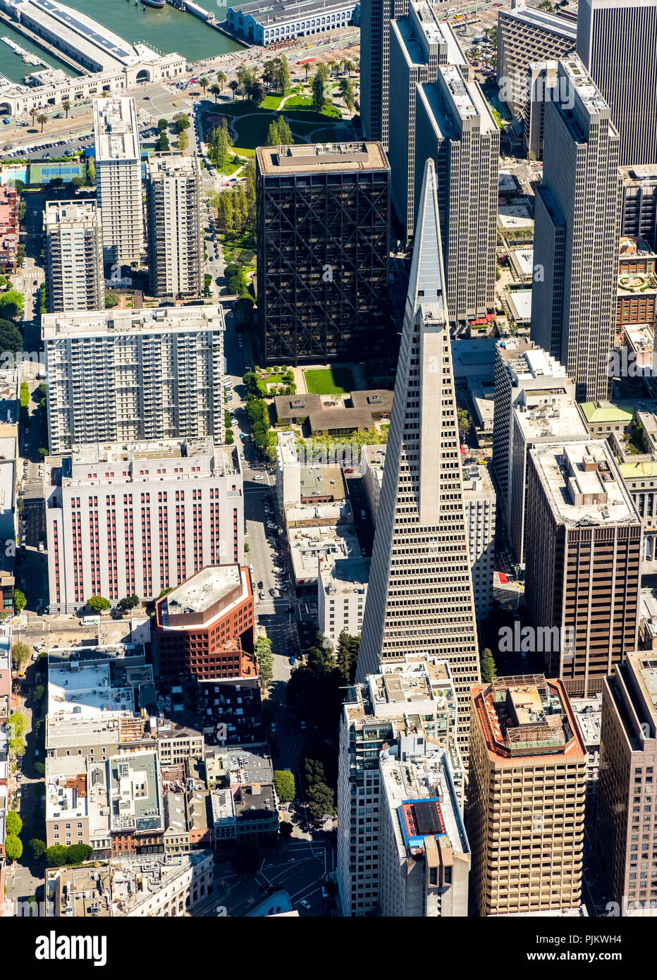 Transamerica Pyramid, Ansicht von SOMA, Financial District, Down Town, Downtown, San Francisco, San Francisco Bay Area, Vereinigten Staaten von Amerika, Kalifornien, USA Stockfoto