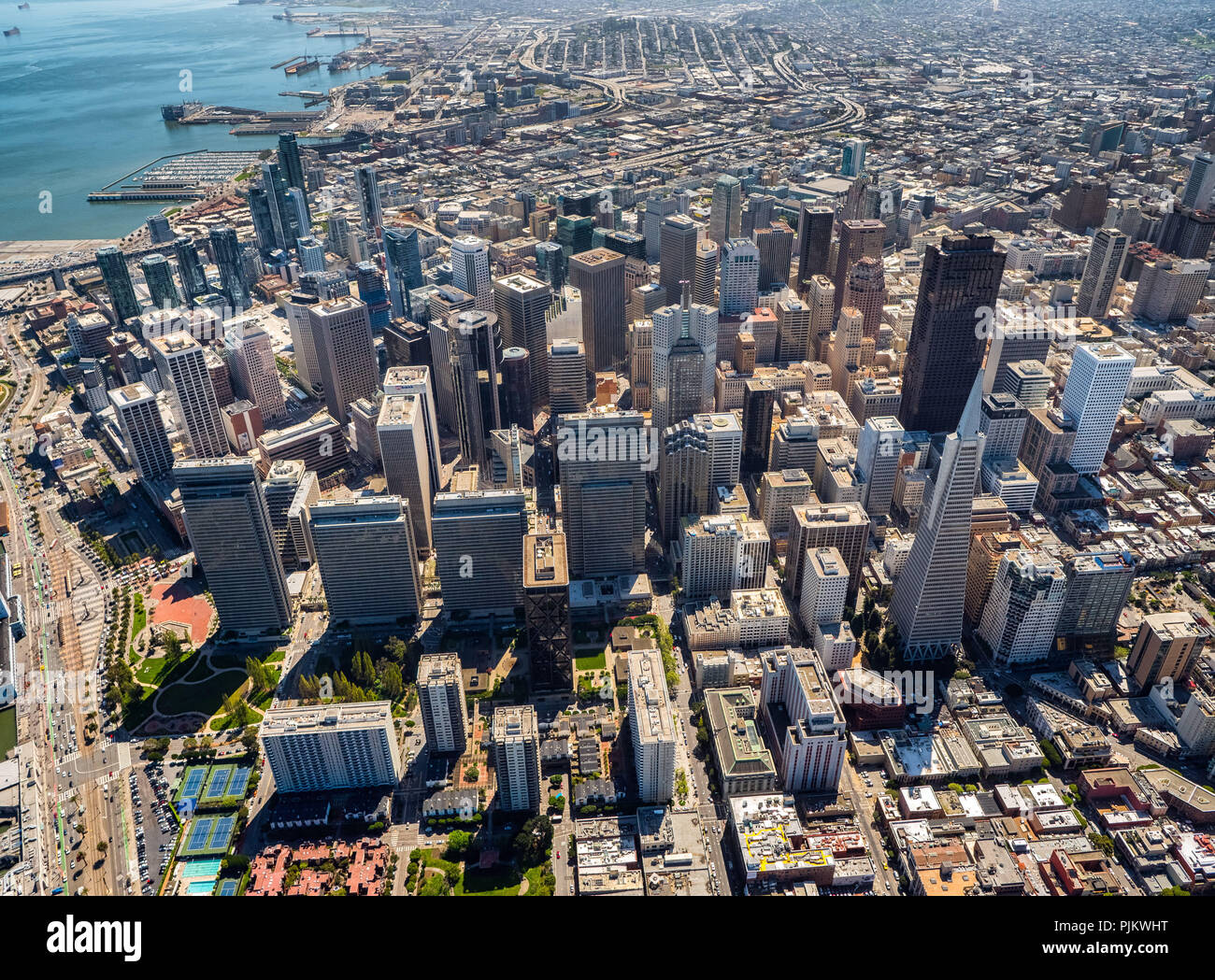 Transamerica Pyramid, Ansicht von SOMA, Financial District, Down Town, Downtown, San Francisco, San Francisco Bay Area, Vereinigten Staaten von Amerika, Kalifornien, USA Stockfoto