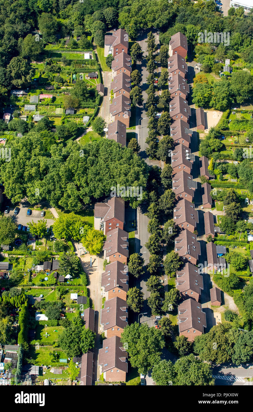 Bergbau Siedlung, die bergarbeiter Siedlung, die kohlengruben der früheren Zeche Nordstern, Gelsenkirchen, Ruhrgebiet, Nordrhein-Westfalen, Deutschland Stockfoto