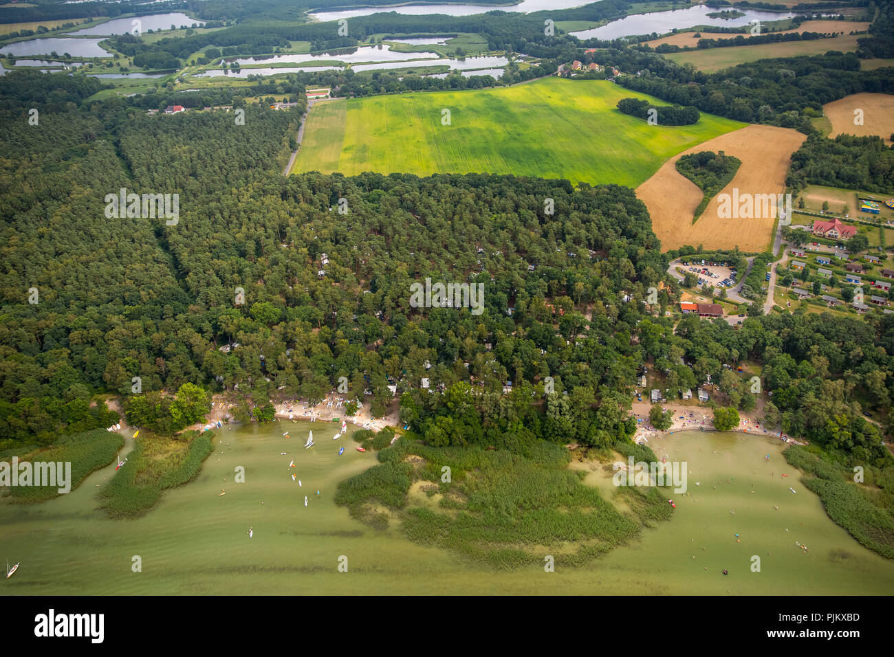 Camping Bolter Ufer C15, Camping im Wald, Wald Camping, Camping im Schatten, Campingplatz am Ufer der Müritz, Rechlin, Mecklenburgische Seenplatte, Müritz, Naturschutzgebiet, Mecklenburg-Vorpommern, Deutschland Stockfoto