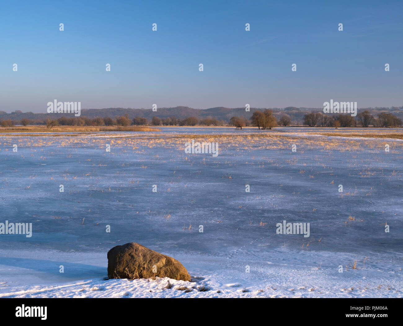 Deutschland, Brandenburg, Uckermark, Schwedt, Nationalpark Unteres Odertal, Wintertag in der Oder Wiese, Eisbahn, Weiden, Schilf, Ansicht von cedynia Landschaftspark (Polen) Stockfoto