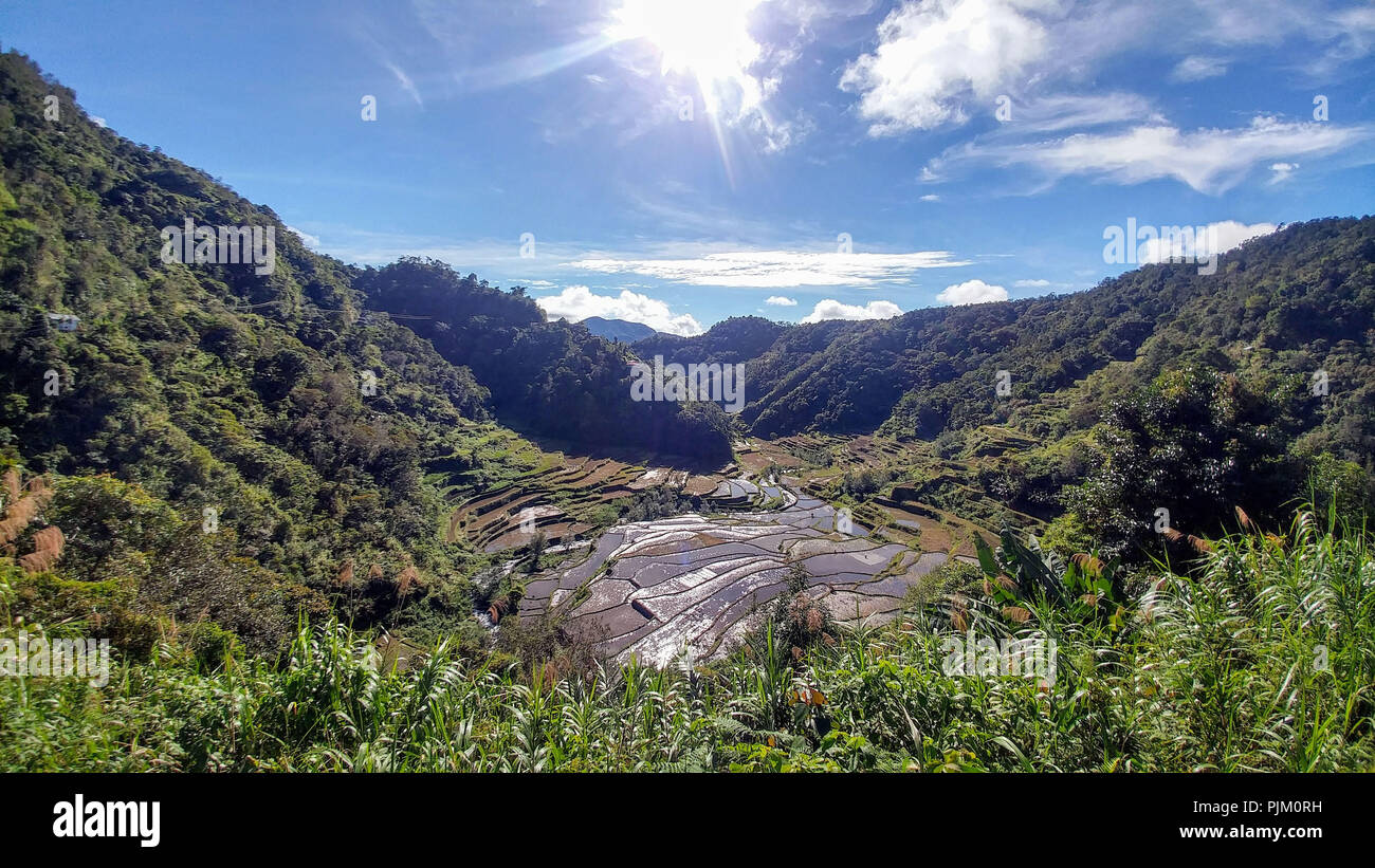 Reisterrassen von Banaue auf der Insel Luzon, Philippinen Stockfoto