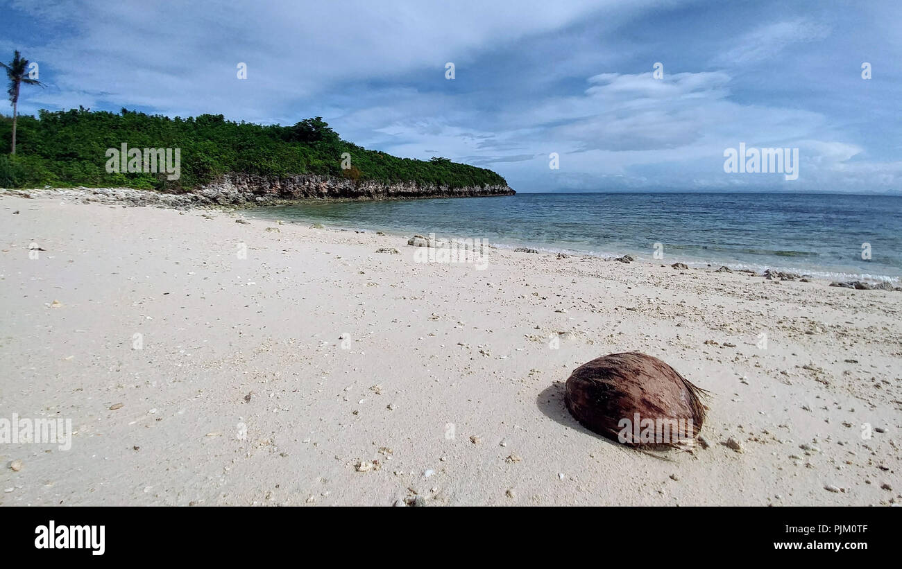 Kokosnuss am Strand von Malapascua Island, Philippinen Stockfoto