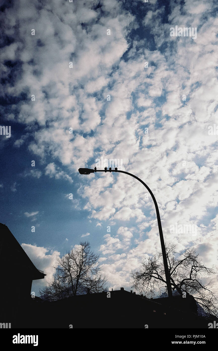 4 Tauben sitzen auf einer Straßenlaterne, blaue Wolke Himmel Stockfoto