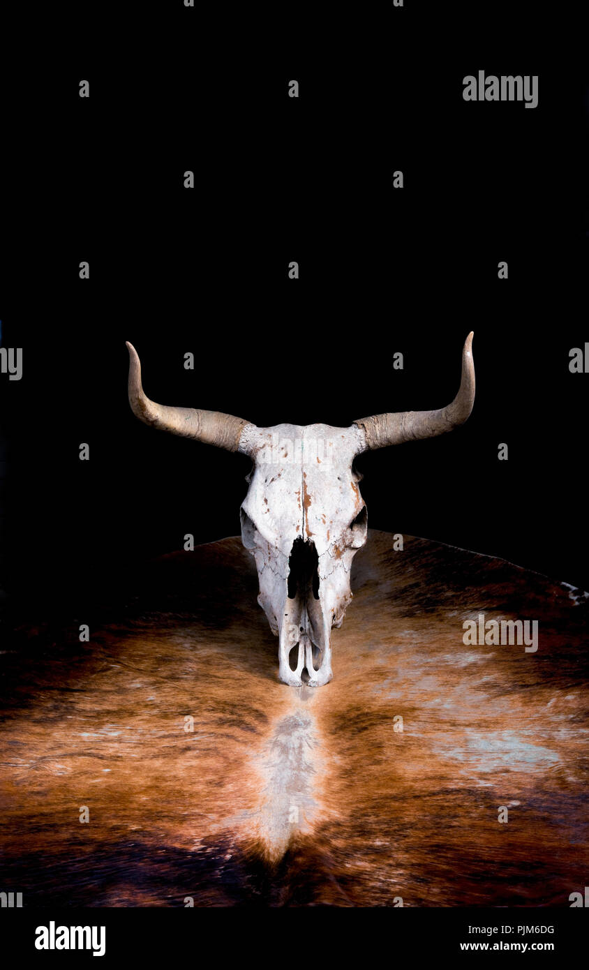 Ptwola Bolo-Krawatte Western Style - 2er Set Mit Kuhschädel Anhänger Für Damen & Herren