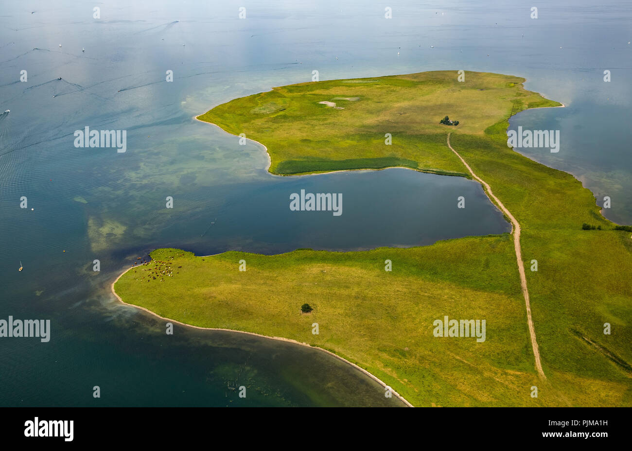 Großer Schwerin und Steinhorn, Halbinsel in der Müritz unter Naturschutz, Ludorf, Mecklenburgische Seenplatte, Mecklenburgische Schweiz, Mecklenburg-Vorpommern, Deutschland Stockfoto