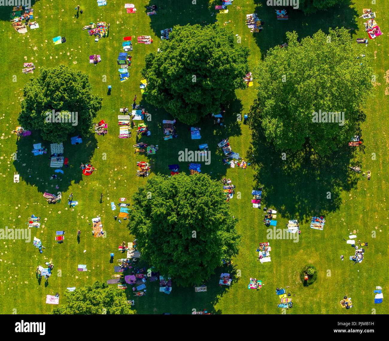 Liegewiese mit Baum Schatten, Außenpool, Heiligenhaus, Ruhrgebiet, Nordrhein-Westfalen, Deutschland Stockfoto