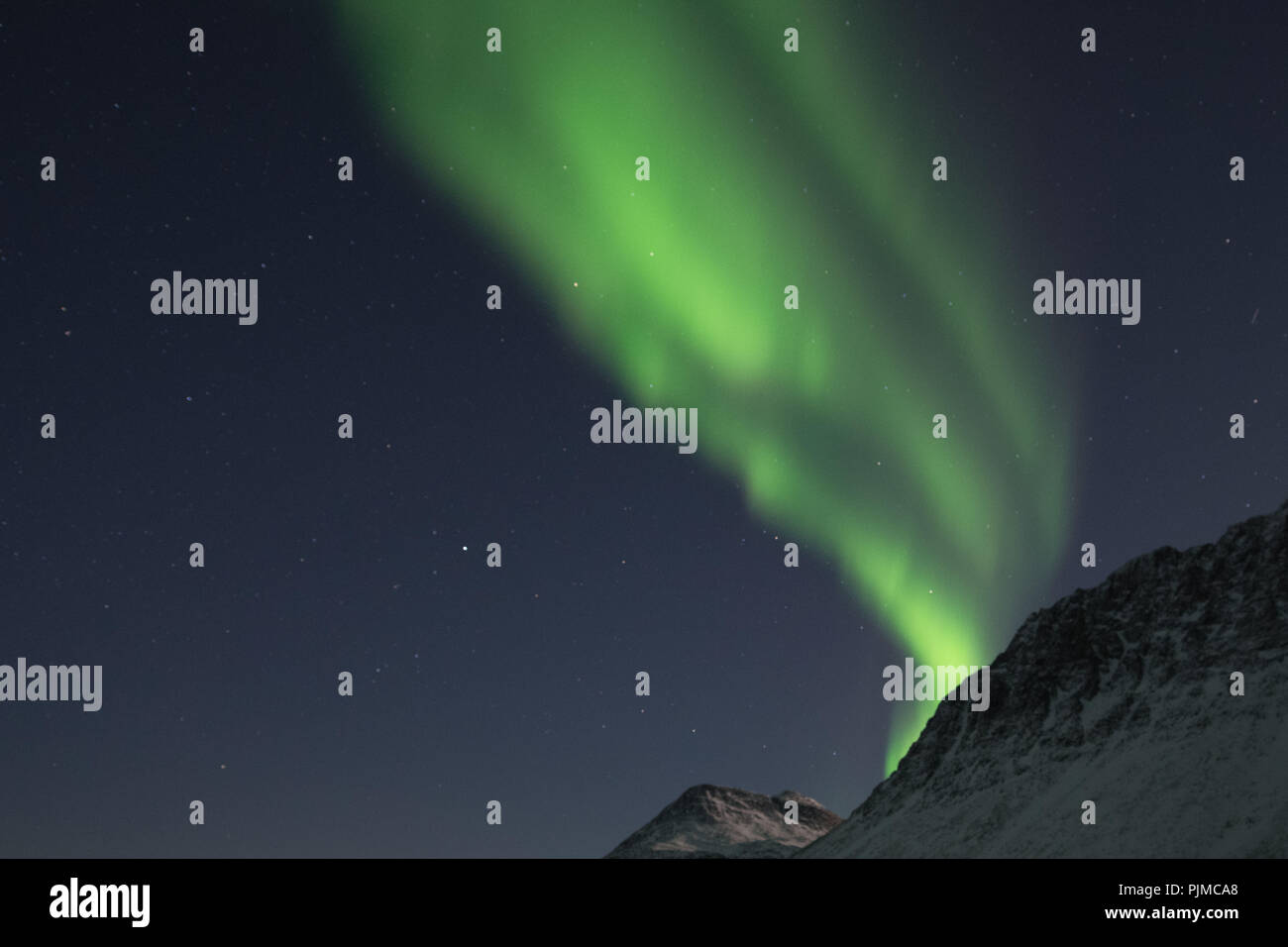 Europa, Norwegen, Troms, tanzenden Nordlichter über Grøtfjord Stockfoto