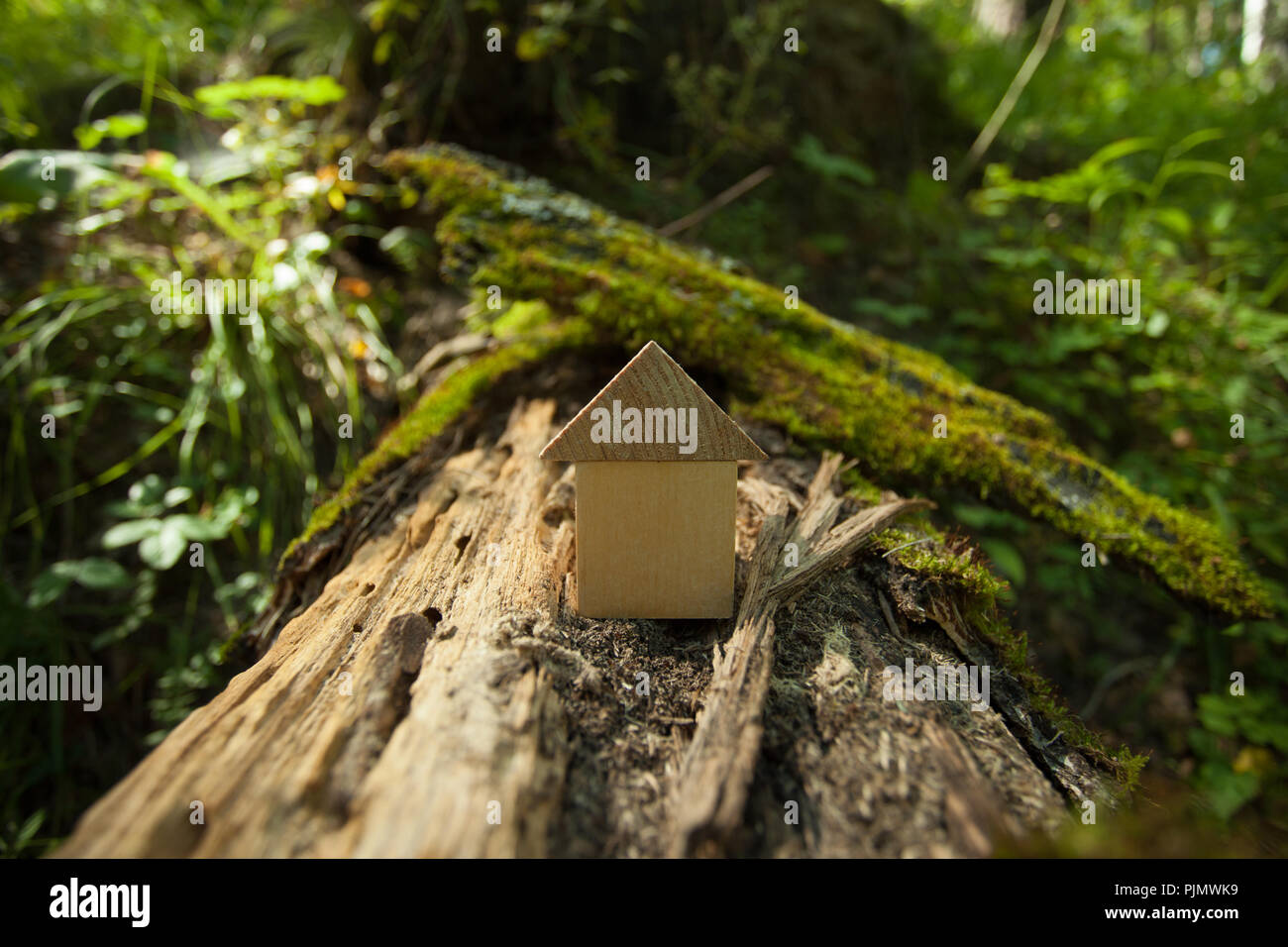 Umweltfreundliche Haus Konzept, Umweltschutz Konzept, Grüne Feder Hintergrund, Modell Home im Freien in einem Garten mit Kopie Raum auf Holz zurück Stockfoto