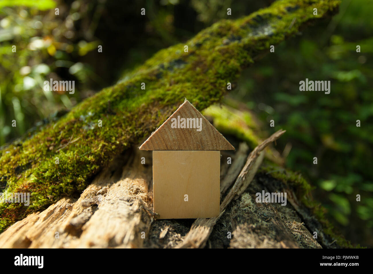 Umweltfreundliche Haus Konzept, Umweltschutz Konzept, Grüne Feder Hintergrund, Modell Home im Freien in einem Garten mit Kopie Raum auf Holz zurück Stockfoto