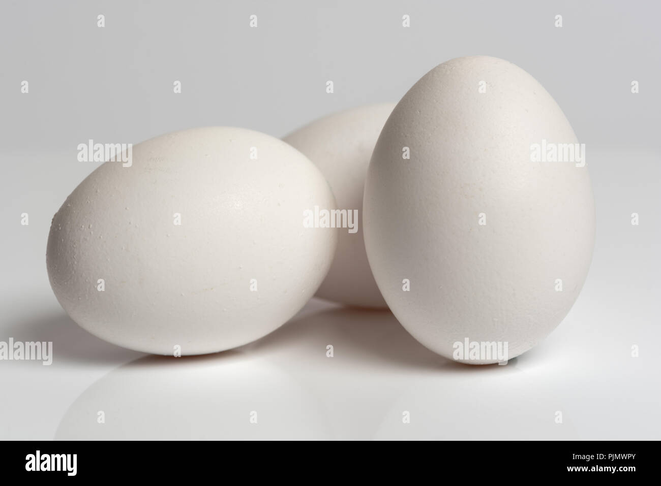 Weiße Eier. Drei weiße Eier auf Weiß reflektierende Oberfläche isoliert Stockfoto