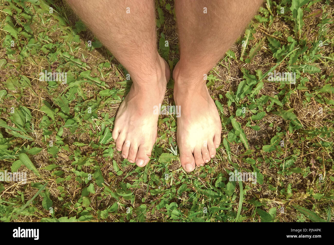 Mann Mit Nackten Fussen Stehend Auf Dem Grunen Rasen Im Garten 2018 Stockfotografie Alamy