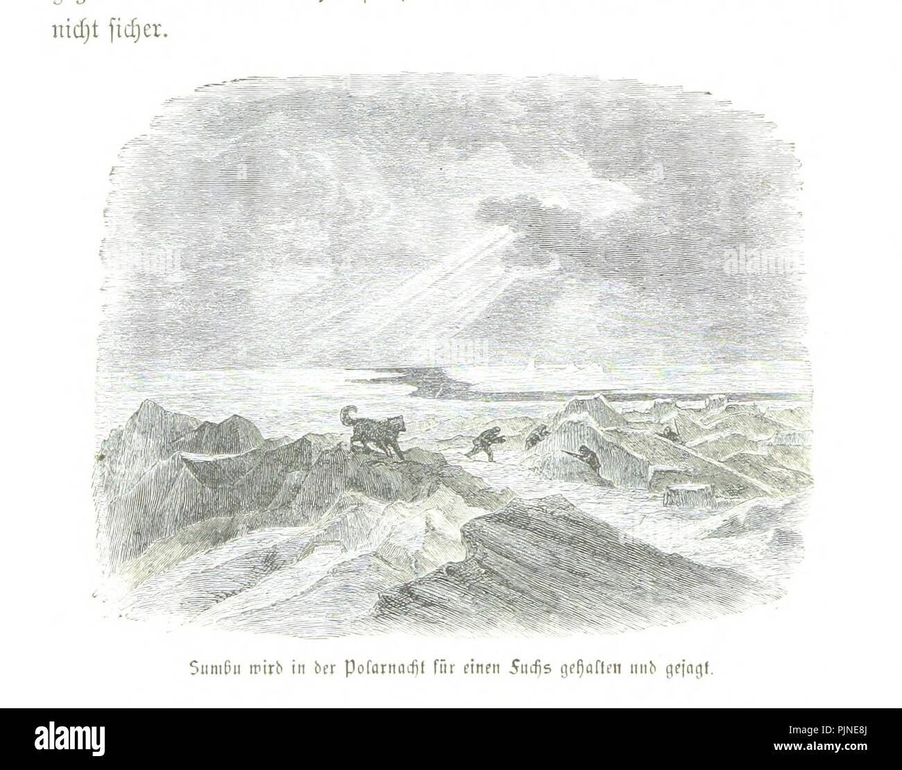 Bild von Seite 170 von 'Die österreichisch-ungarische Nordpol-Expedition in den Jahren 1872-1874. Nebst einer Skizze der zweiten deutschen Nordpol-Expedition 1869-1870 und der polar-expedition von 1871. Mit 146 Illu 0026. Stockfoto