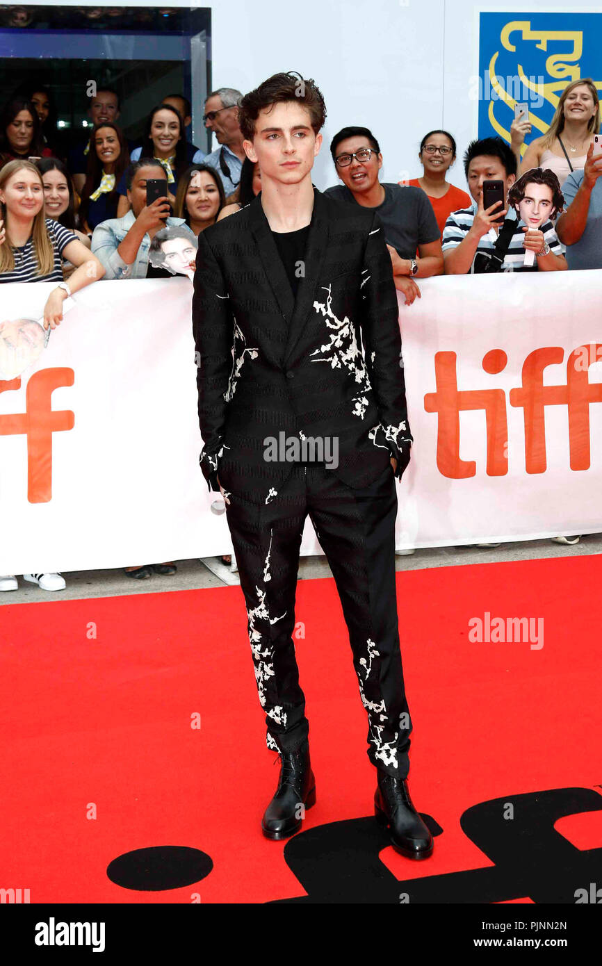 Toronto, Kanada. 7. September 2018. Timothee Chalamet bei der Premiere von "schöner Junge" mit dem 43. Toronto International Film Festival in der Roy Thomson Hall. Toronto, 07.09.2018 Credit: Geisler-Fotopress GmbH/Alamy leben Nachrichten Stockfoto