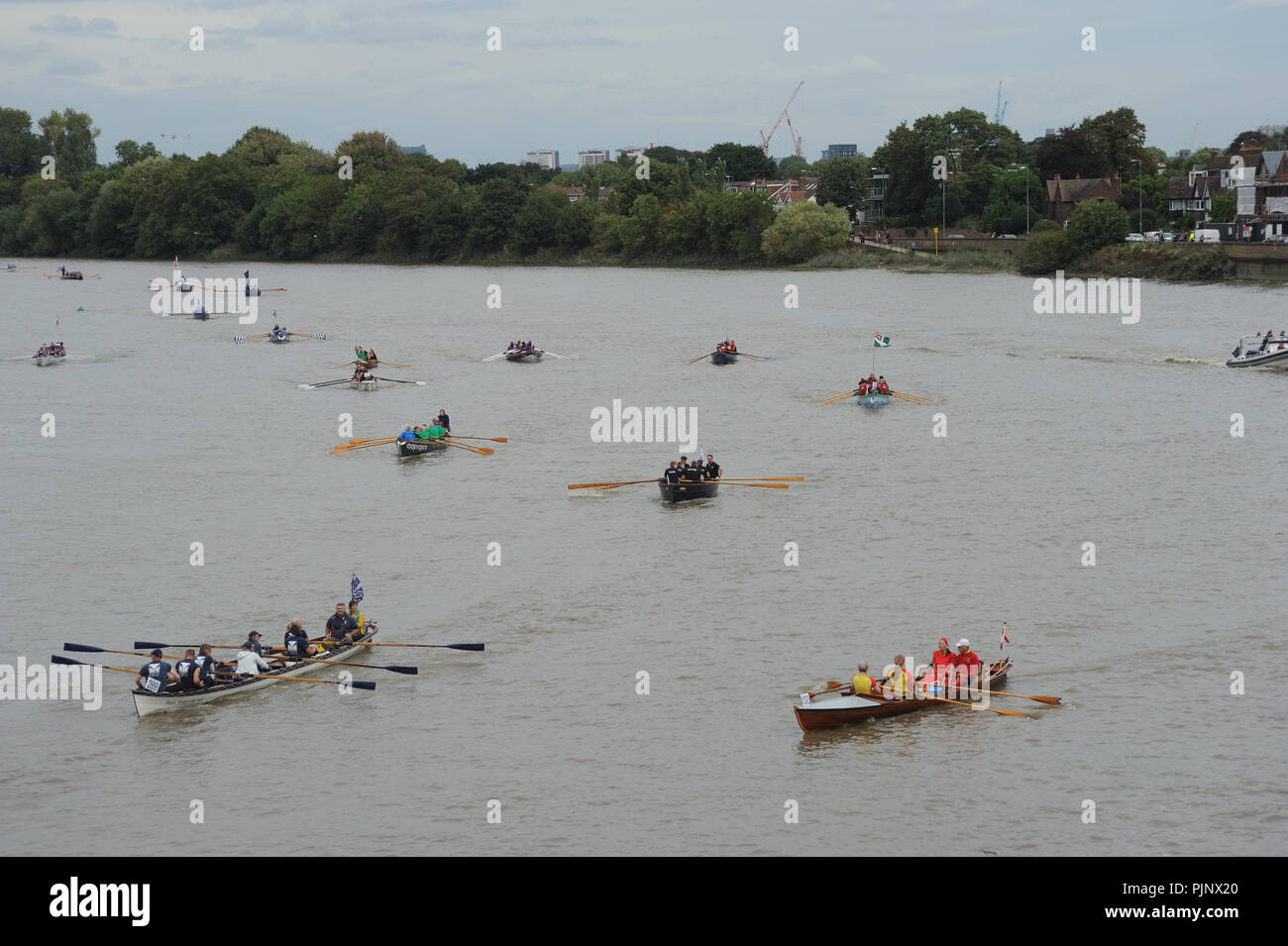 Wettbewerber genießen Sie die Kameradschaft und den Wettbewerb in der Themse Great River Race, von Barnes Bridge, SW 13 gesehen. Stockfoto