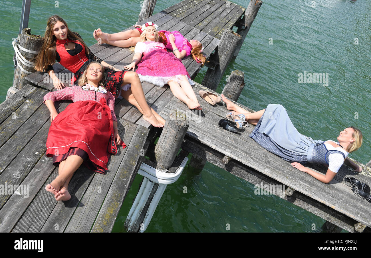 Zwerenz Fotos Und Bildmaterial In Hoher Auflösung Seite 2 Alamy