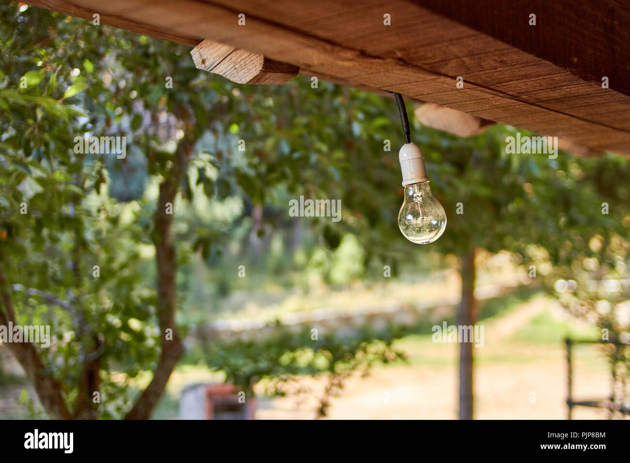 Die Glühbirne hängt in der Kabinendecke Stockfoto