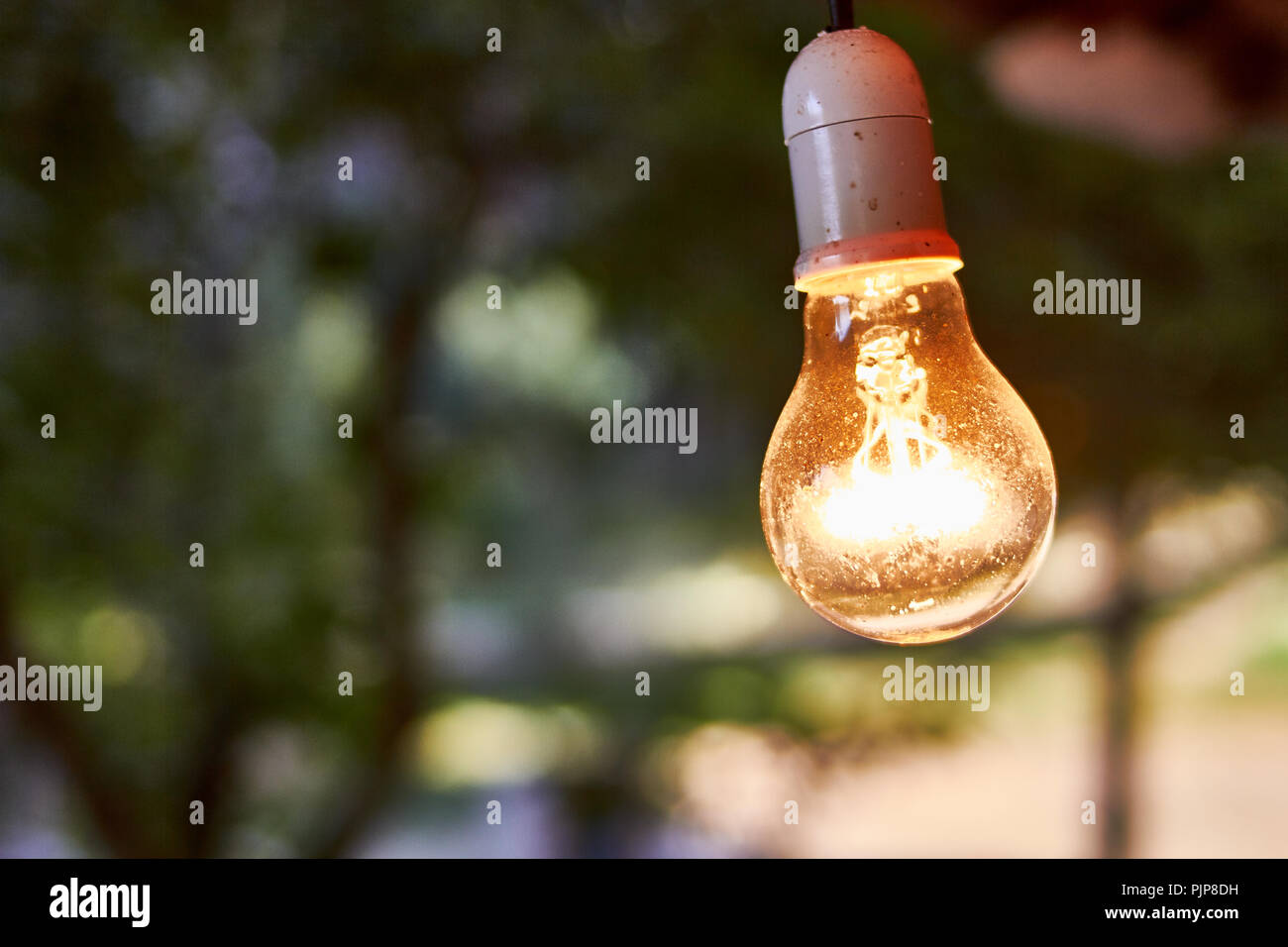 Die Glühbirne hängt in der Kabinendecke Stockfoto