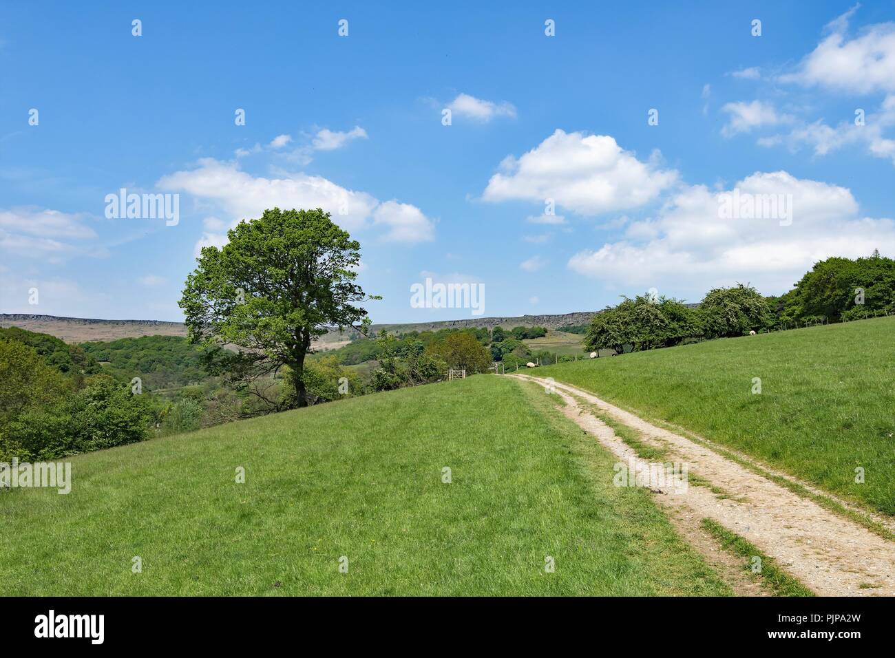 Sonnig und blauer Himmel Blick auf den Spaziergang von Hoffnung zu Stannage Edge, in The Derbyshire Peak District. Stockfoto
