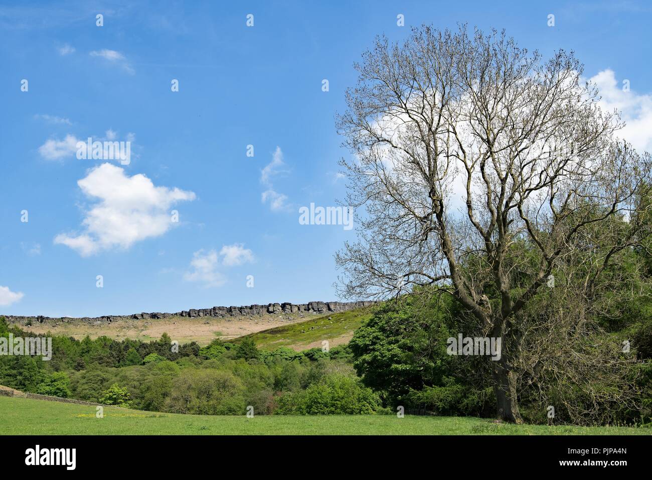 Sonnig und blauer Himmel Blick auf den Spaziergang von Hoffnung zu Stannage Edge, in The Derbyshire Peak District. Stockfoto