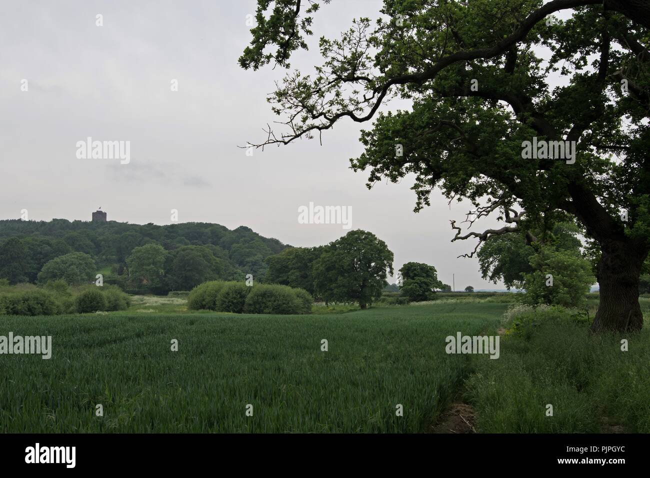 Der Sandstein Trail in Cheshire, ist eine wunderschöne und malerische Trail, für Wanderer jeden Alters. Stockfoto
