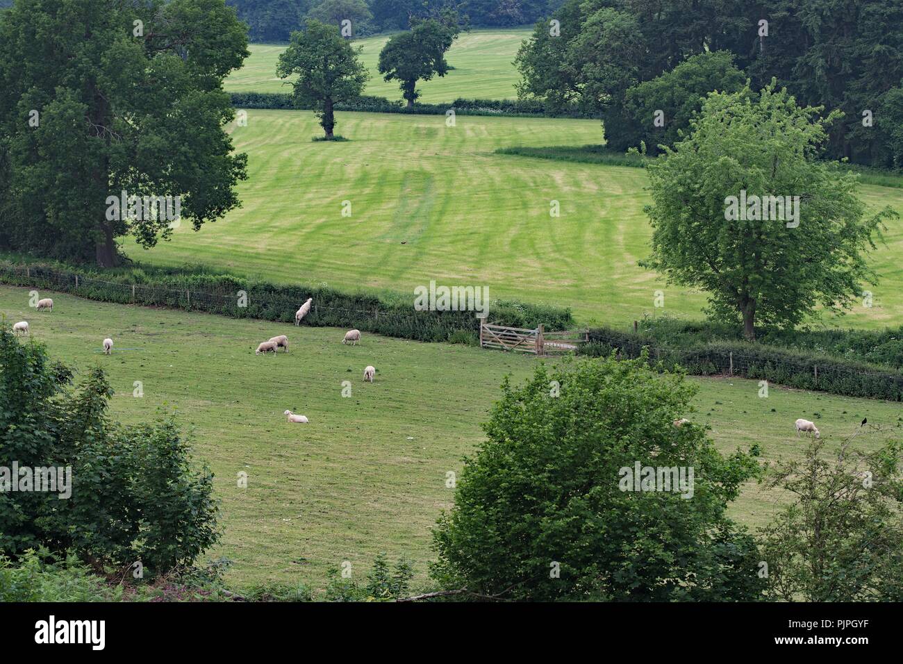 Der Sandstein Trail in Cheshire, ist eine wunderschöne und malerische Trail, für Wanderer jeden Alters. Stockfoto