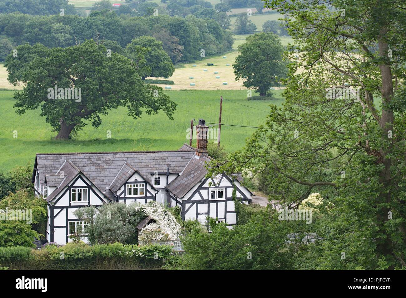 Der Sandstein Trail in Cheshire, ist eine wunderschöne und malerische Trail, für Wanderer jeden Alters. Stockfoto