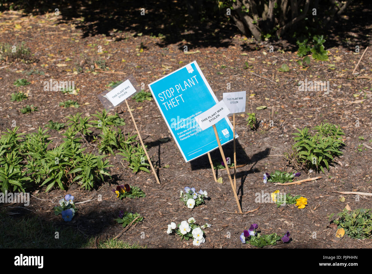 August 2018, Centennial Park, Sydney, Australien: Ein Zeichen in einem Garten im Park zeigt, wo Pflanzen gestohlen haben. Stop von Diebstahl Stockfoto