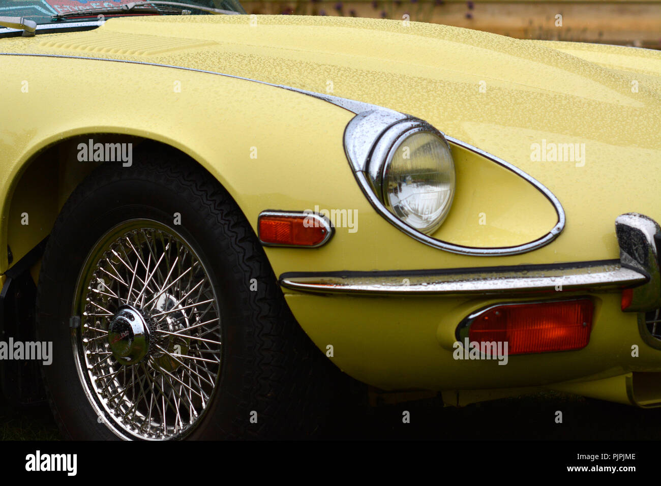 Nahaufnahme Bild eines klassischen Jaguar E-type car Stockfoto