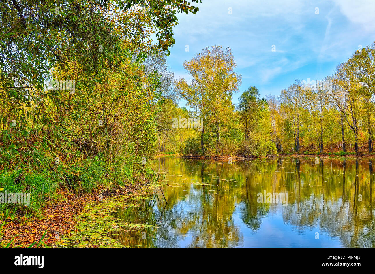 Bunte Herbst sonnige Landschaft am See mit Reflexion von blauem Himmel, Wolken und Bäume auf dem Wasser mit Welligkeit und goldenen Blättern bedeckt Stockfoto