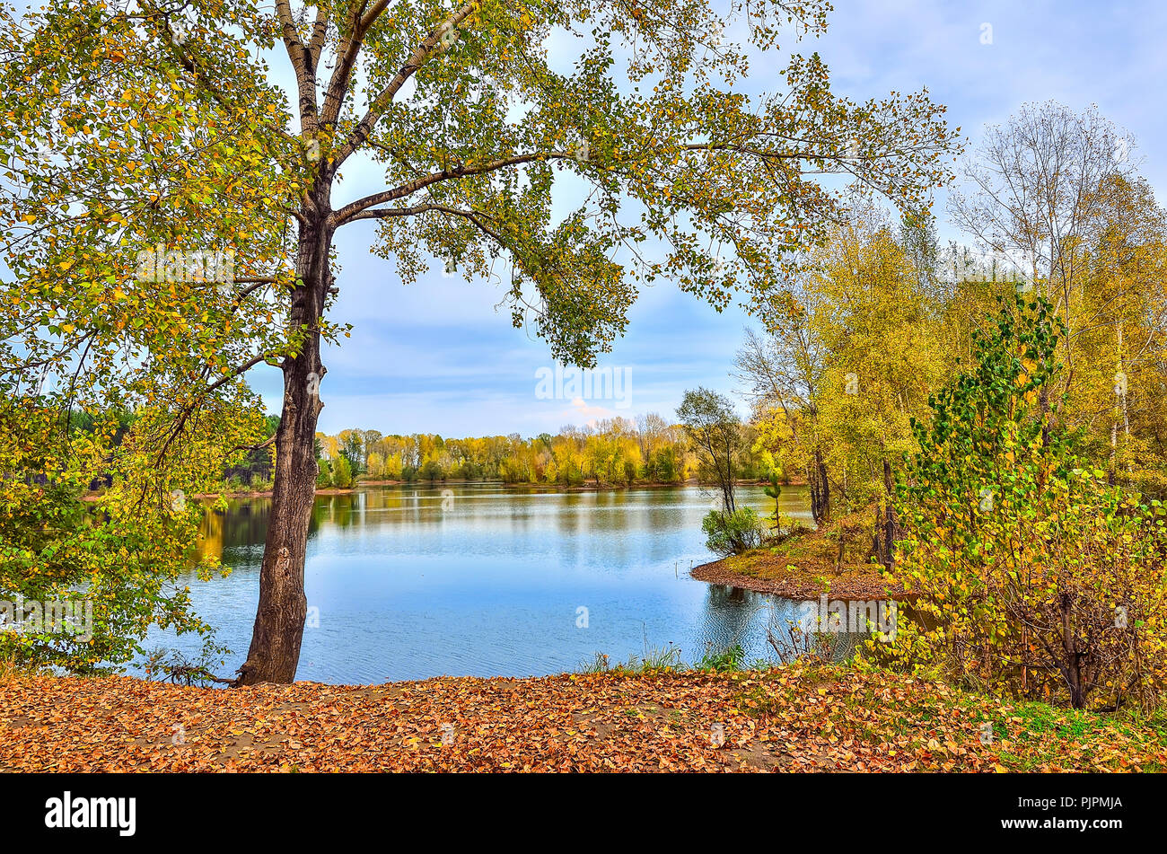 Bunte Herbst sonnige Landschaft am See mit Reflexion von blauem Himmel, Wolken und Bäume auf dem Wasser mit Welligkeit und goldenen Blättern bedeckt Stockfoto