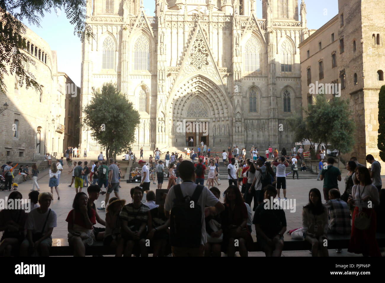 Eine Gruppe von chinesischen Touristen besuchen Sie eine Kathedrale im gotischen Bereich in Barcelona Spanien im Sommer. Stockfoto