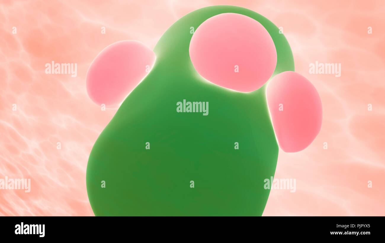 B-Zellen, Lymphozyten oder weißen Blutkörperchen Angriff Bakterien im Körper. Infektion und Immunschwäche Konzept, 3D-Rendering Stockfoto