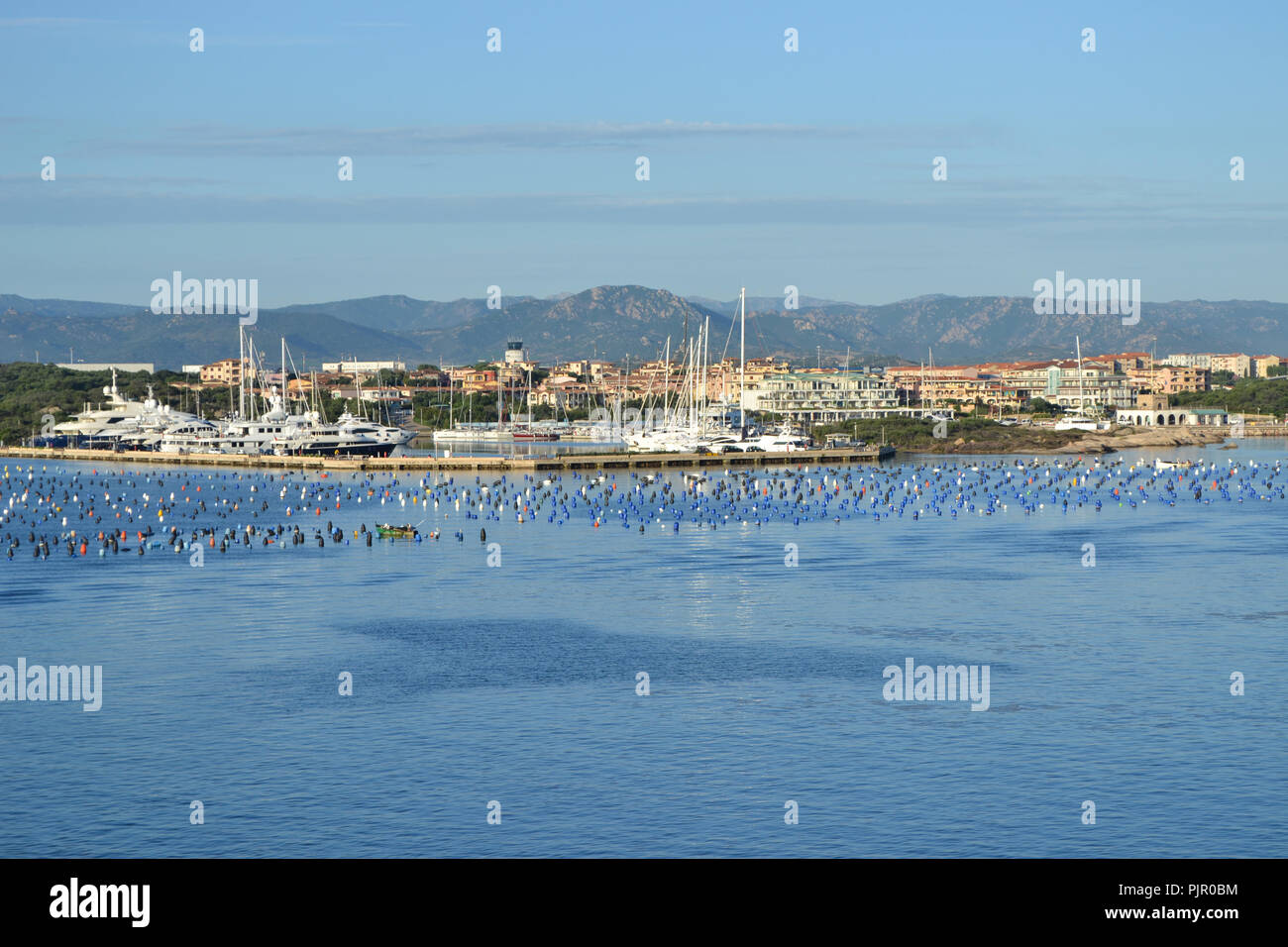 Blick auf den Hafen von Olbia Kreuzfahrtschiff, Insel Sardinien Stockfoto