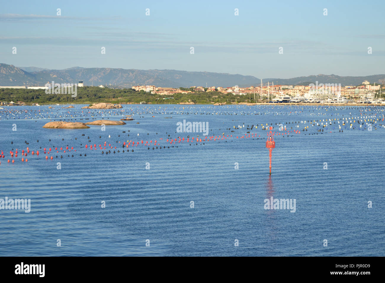 Blick auf den Hafen von Olbia Kreuzfahrtschiff, Insel Sardinien Stockfoto