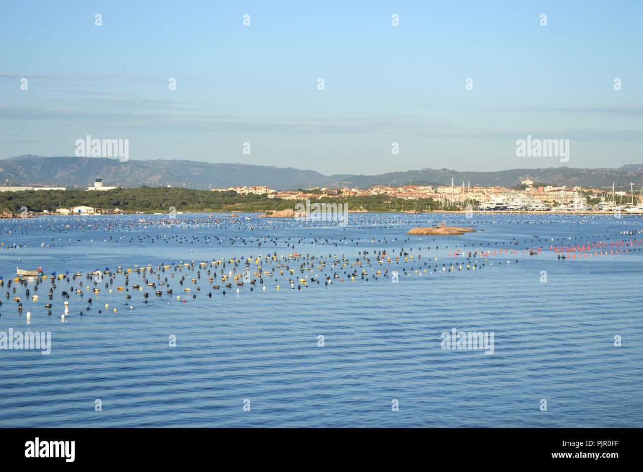 Blick auf den Hafen von Olbia Kreuzfahrtschiff, Insel Sardinien Stockfoto