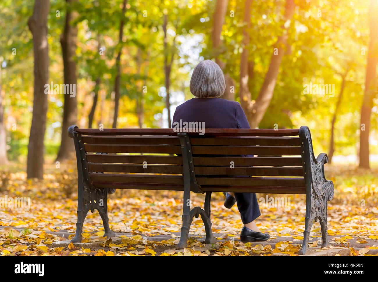 Ältere Frau sitzen auf einer Bank im Herbst Park. Einsam im Alter von Frau sitzt auf der Bank im Herbst Park an Bäumen sieht. Stockfoto