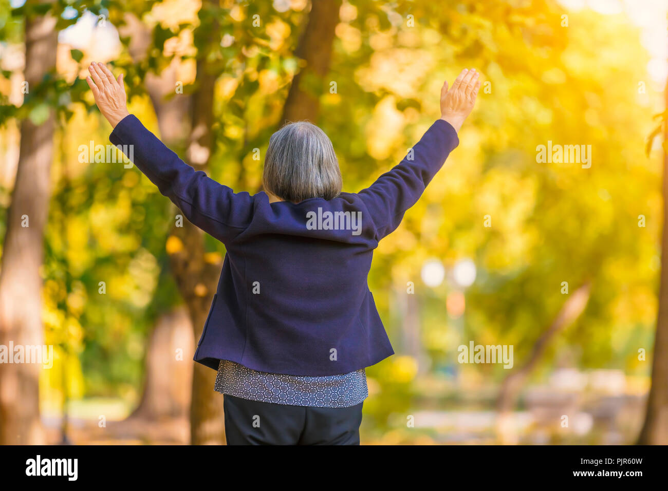 Casual ältere Frau mit ausgestreckten Armen stehen im Herbst Park. Rückansicht der älteren Frau, die Bäume im Herbst mit den Händen nach oben. Stockfoto