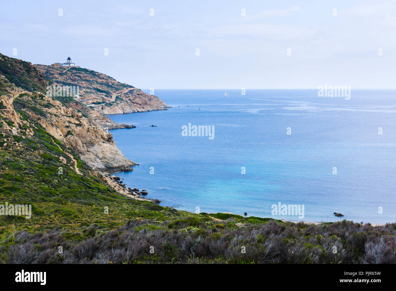 Pointe de La Revellata, Calvi, Korsika, Frankreich Stockfoto