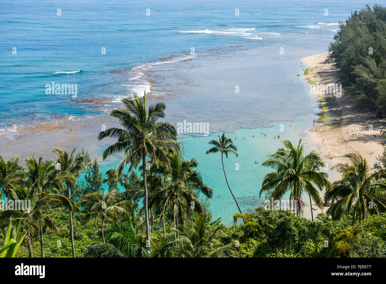 Ocean Beach, Kauai Stockfoto