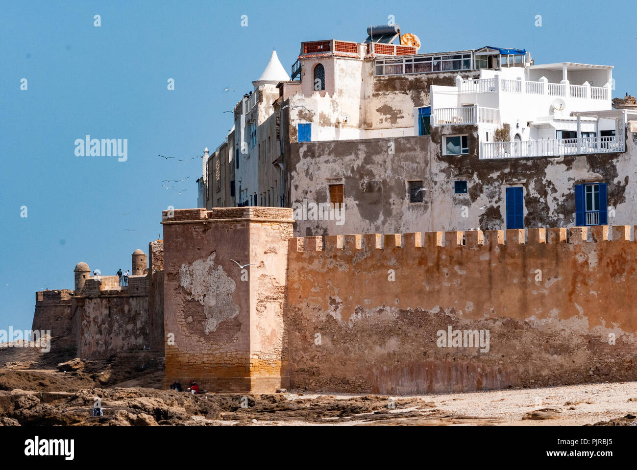 Blick von der Festung von der Stadtmauer und der Medina, der Altstadt von Essaouira in Marokko, auch unter dem Namen von Mogador bekannt Stockfoto