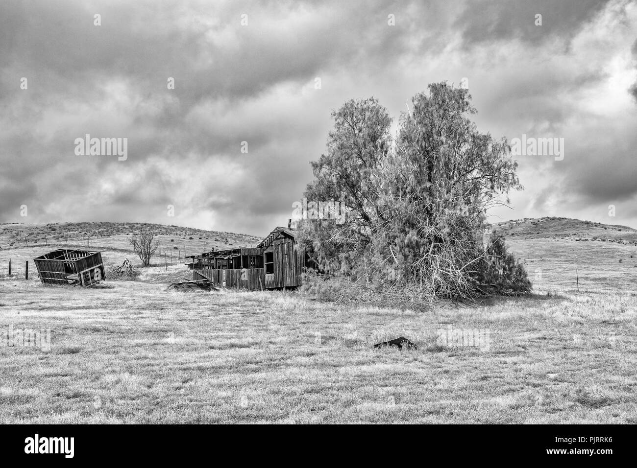 Kalifornien, Carrizo Plain National Monument, Soda Lake Road, Traver Ranch gegründet 1940 s Stockfoto