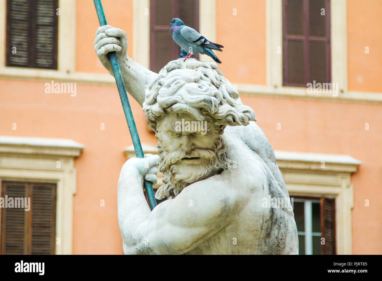 Taube auf die Statue auf der Piazza Navona in Rom, Italien Stockfoto