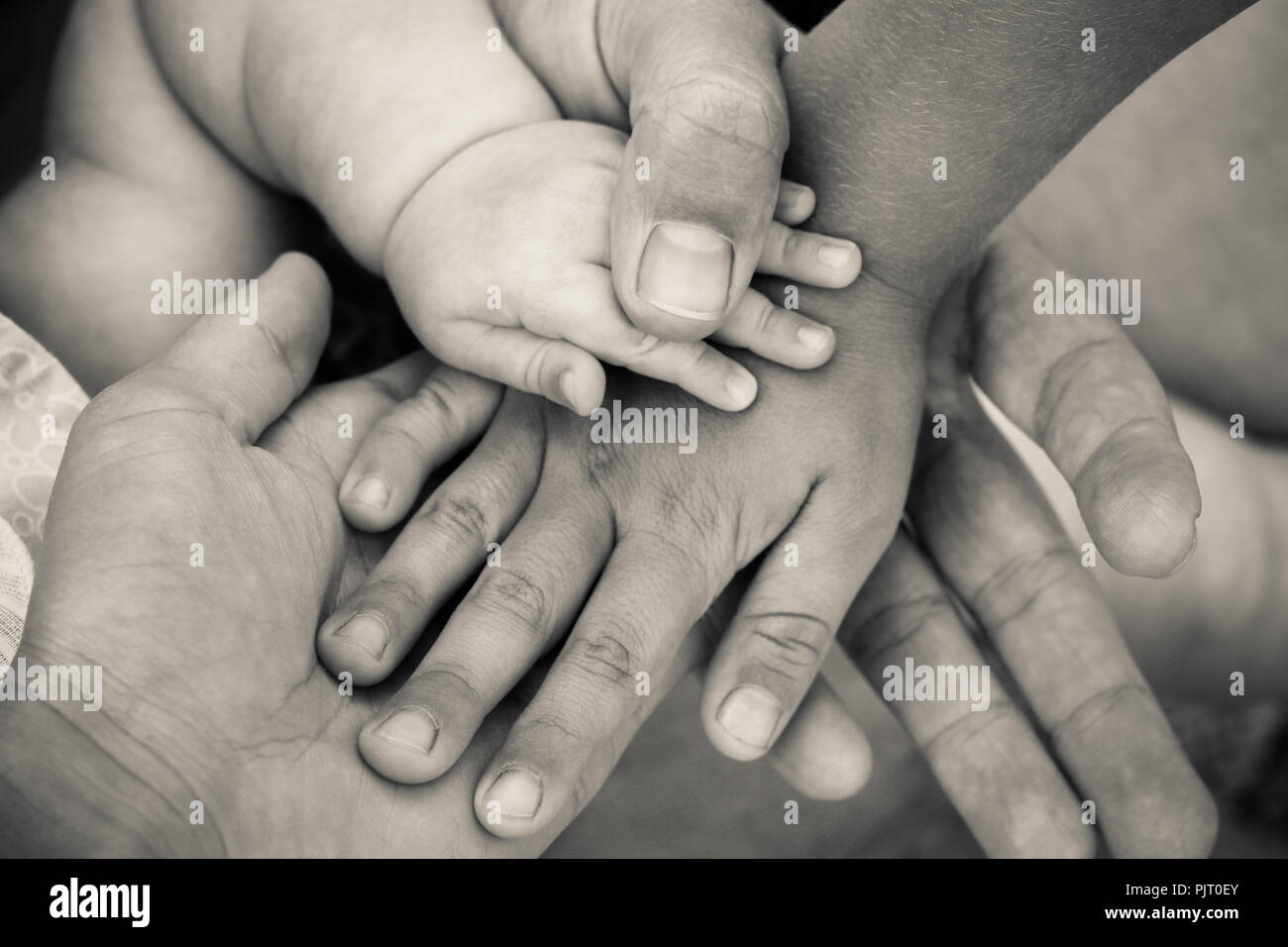 Vier Hände von Familie. Konzept der Liebe, Freundschaft, Glück in der Familie. Schwarzweiß gedreht. Stockfoto