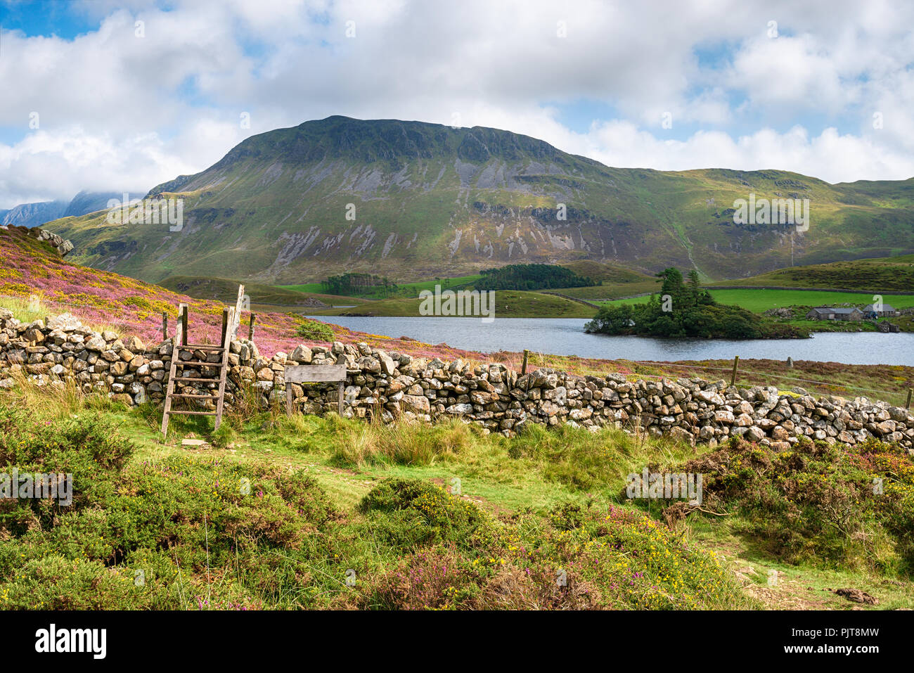 Sommer am Cadair Idris in der Nähe von Dolgellau in Snowdonia National Park in Wales Stockfoto